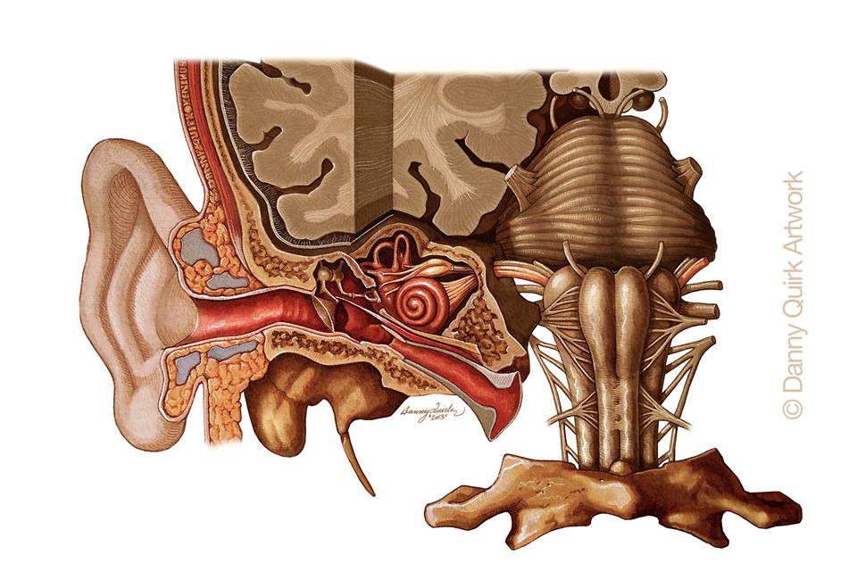 Senses & Perception: SomaticBODY open workshop November