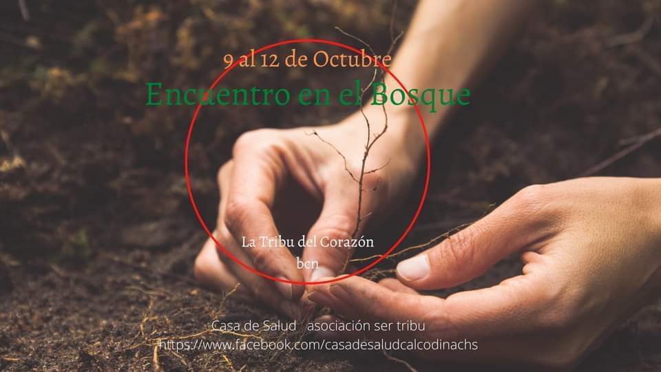 Encuentro en el Bosque