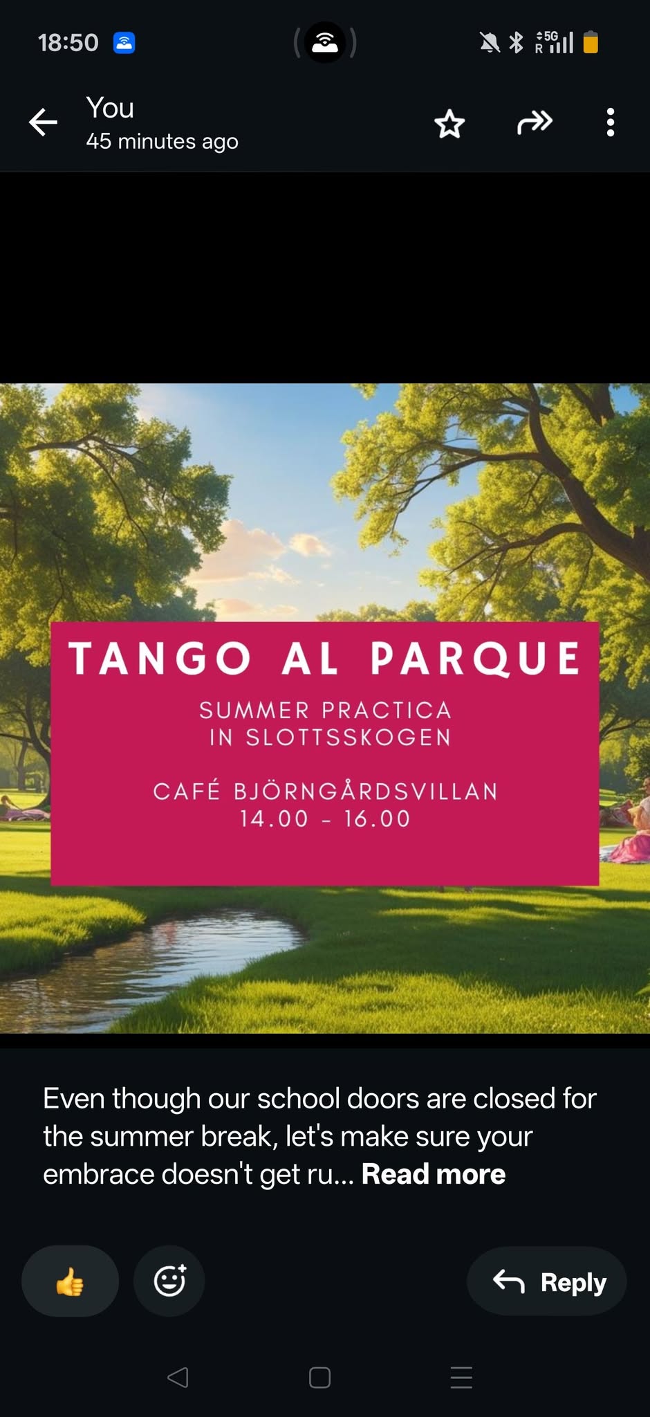 Tango Al Parque - Summer practica in Slottsskogen