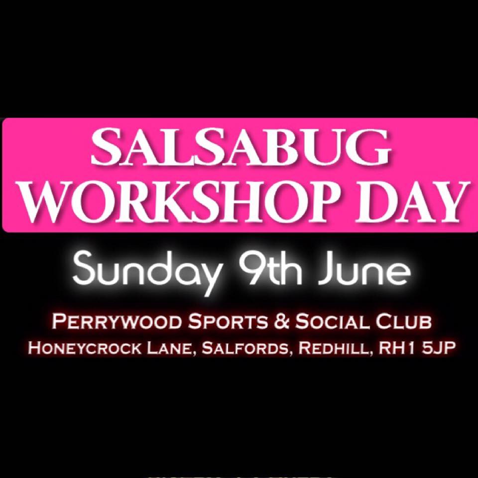 SalsaBug Workshop Day