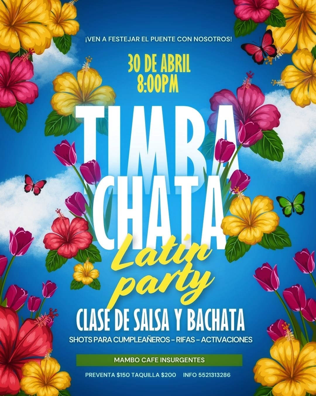 ๐ด TIMBA CHATA ๐๐ฎ๐๐ถ๐ป ๐ฃ๐ฎ๐ฟ๐๐