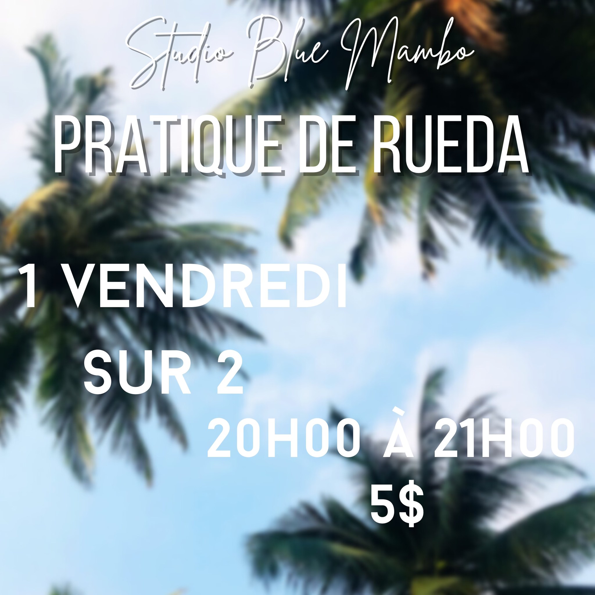 đ„ Pratique de Rueda đ„