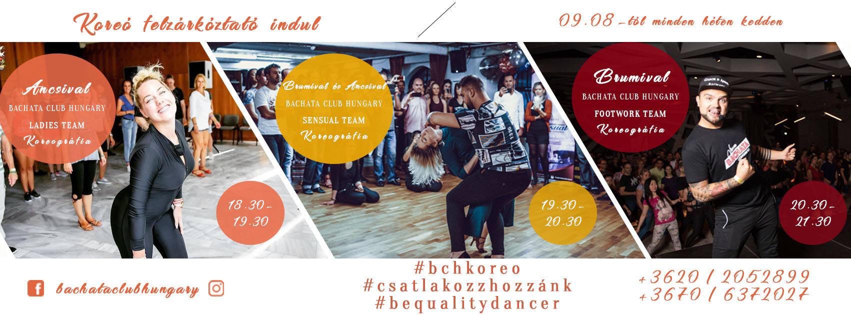 Bachata Koreográfiás csoportok Csatlakozás az előző szezonhoz