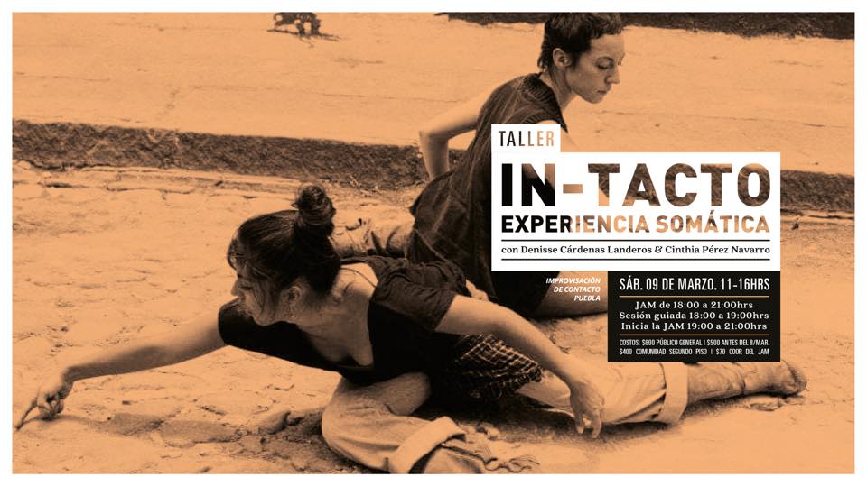 IN-Tacto: Experiencia Somática + JAM de Marzo