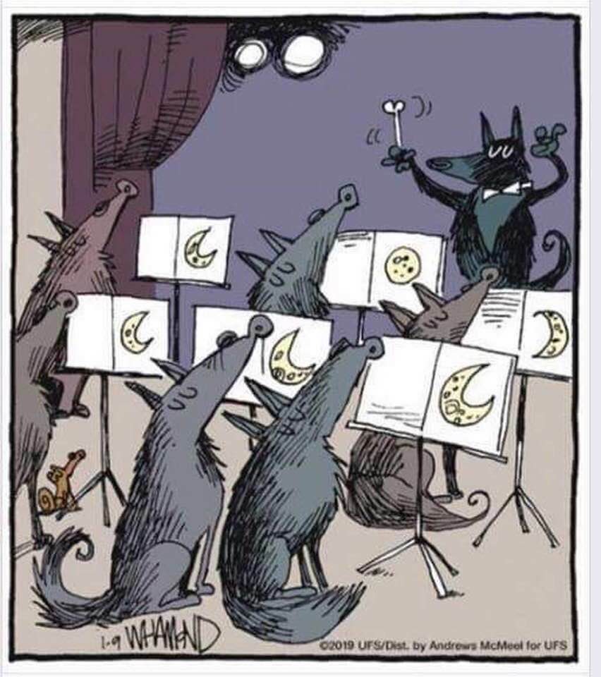1ère Luna 2019 20