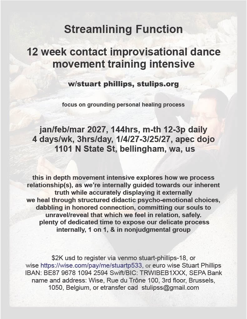 Streamlining Function 12 week contact improvisational dance movement training intensive