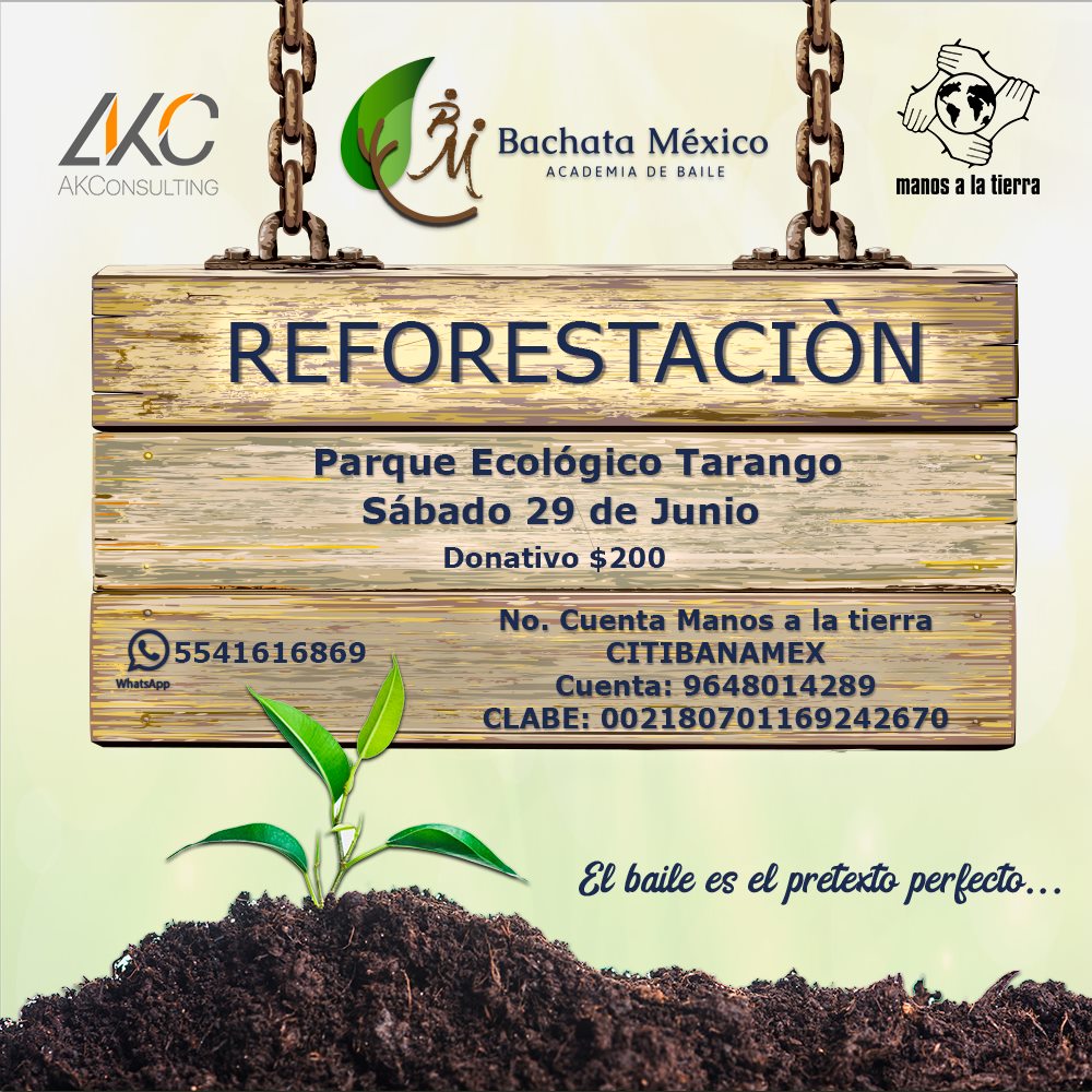 Reforestación con Bachata México