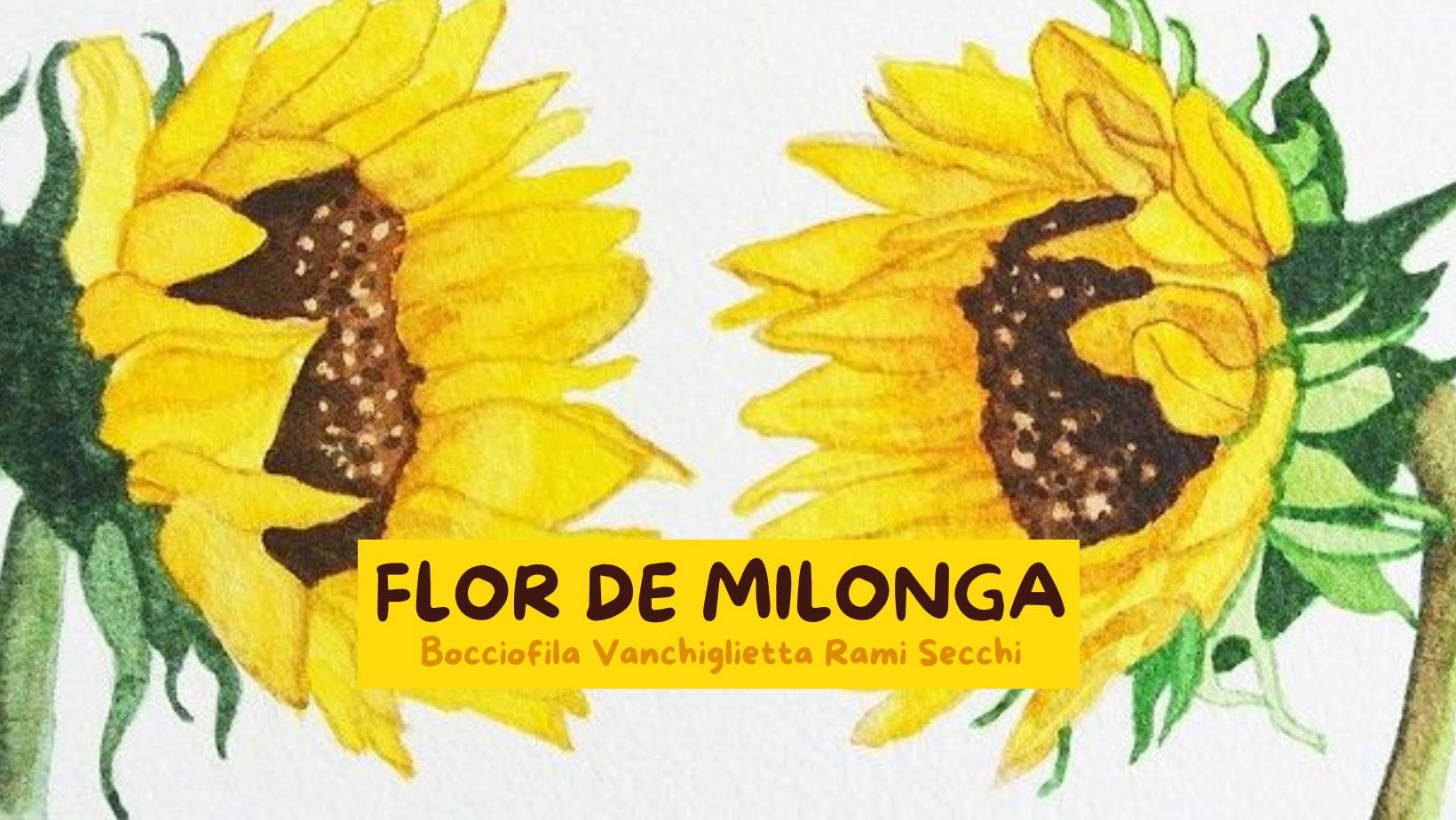 Flor de milonga - 15 luglio