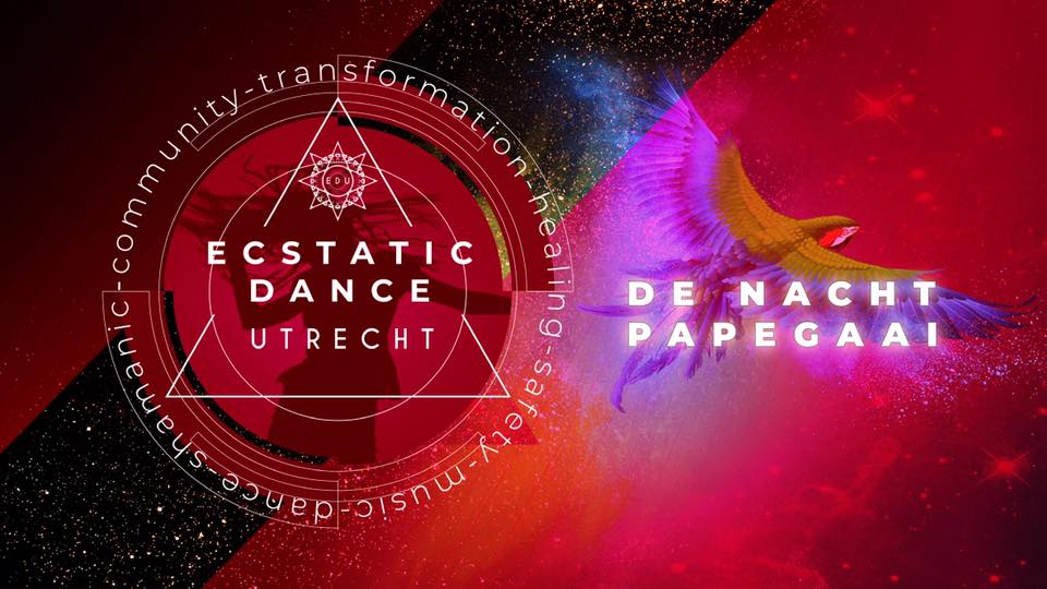 Ecstatic Dance Utrecht DJ De Nachtpapegaai