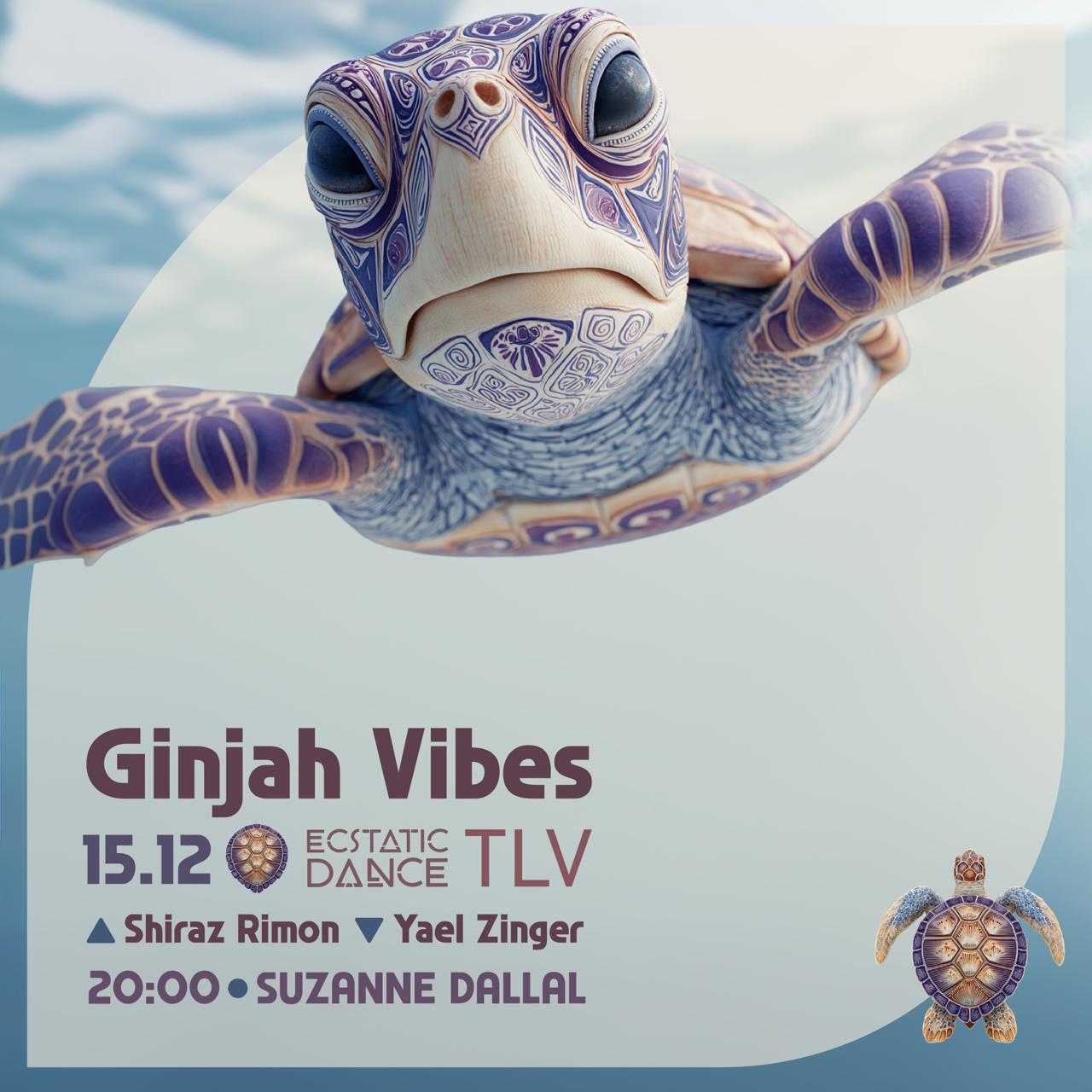 DJ Gingah Vibes ~ Ecstatic Tel Aviv ~ 15 12
