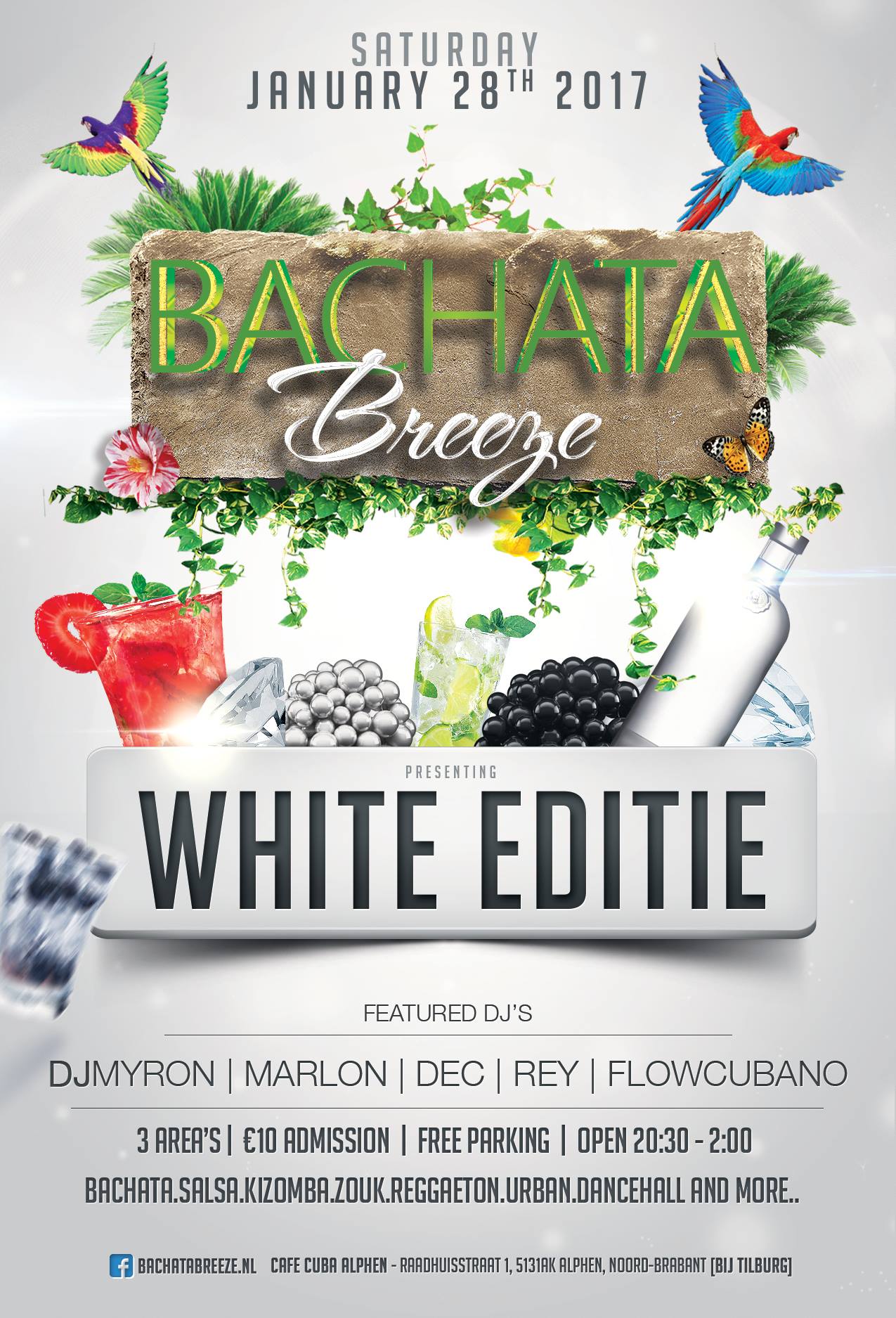 Bachata Breeze - 28.01.2017 (White Edition)