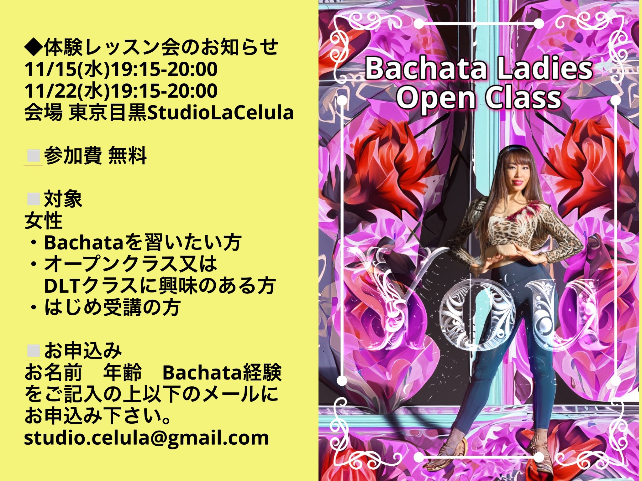 体験レッスン Bachata Ladies Class