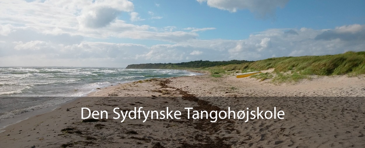 Den Sydfynske Tangohøjskole