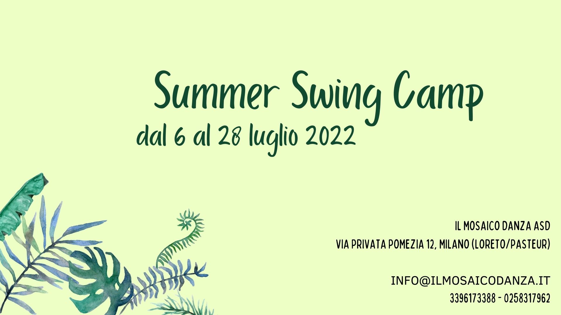Summer Swing Camp