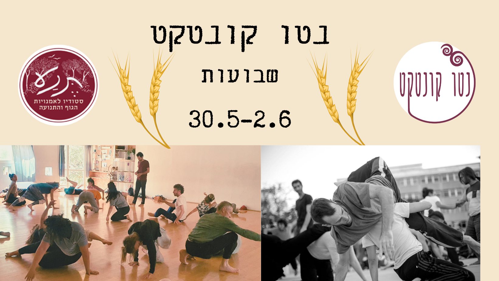 נטו קונטקט - תיקון שבועות