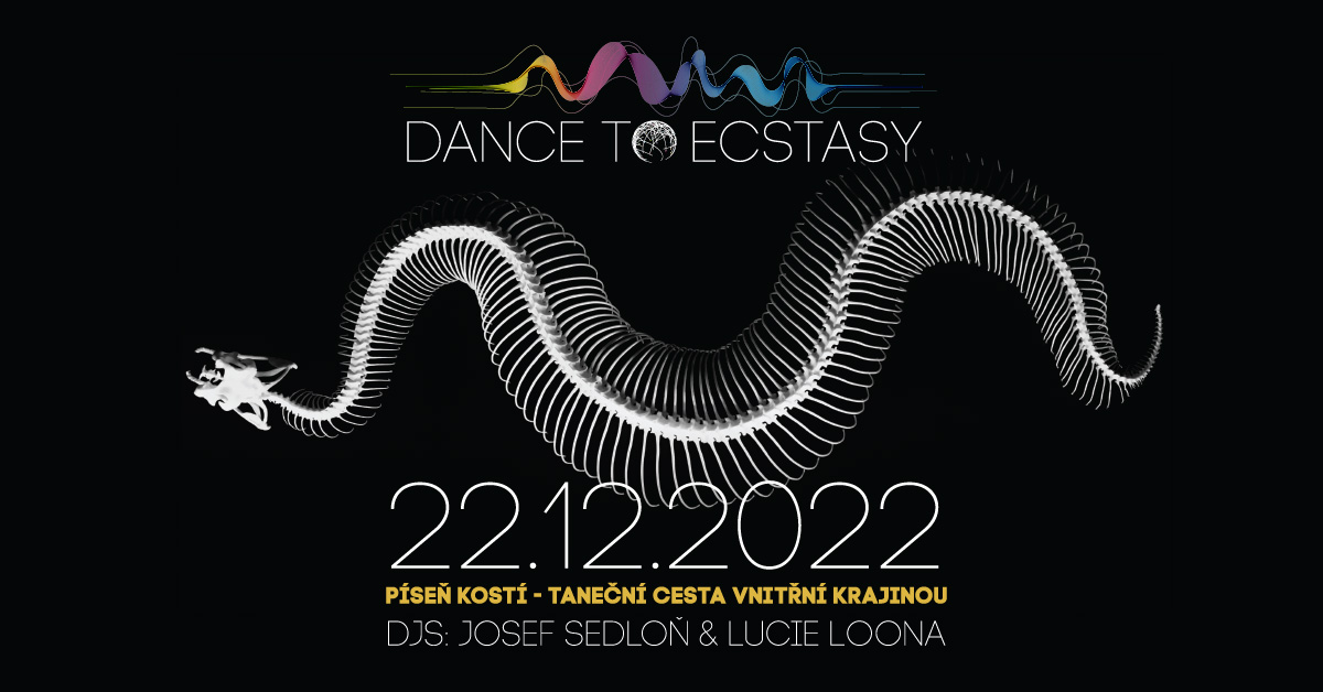 DANCE T☼ ECSTASY #PÍSEŇ KOSTÍ ♪