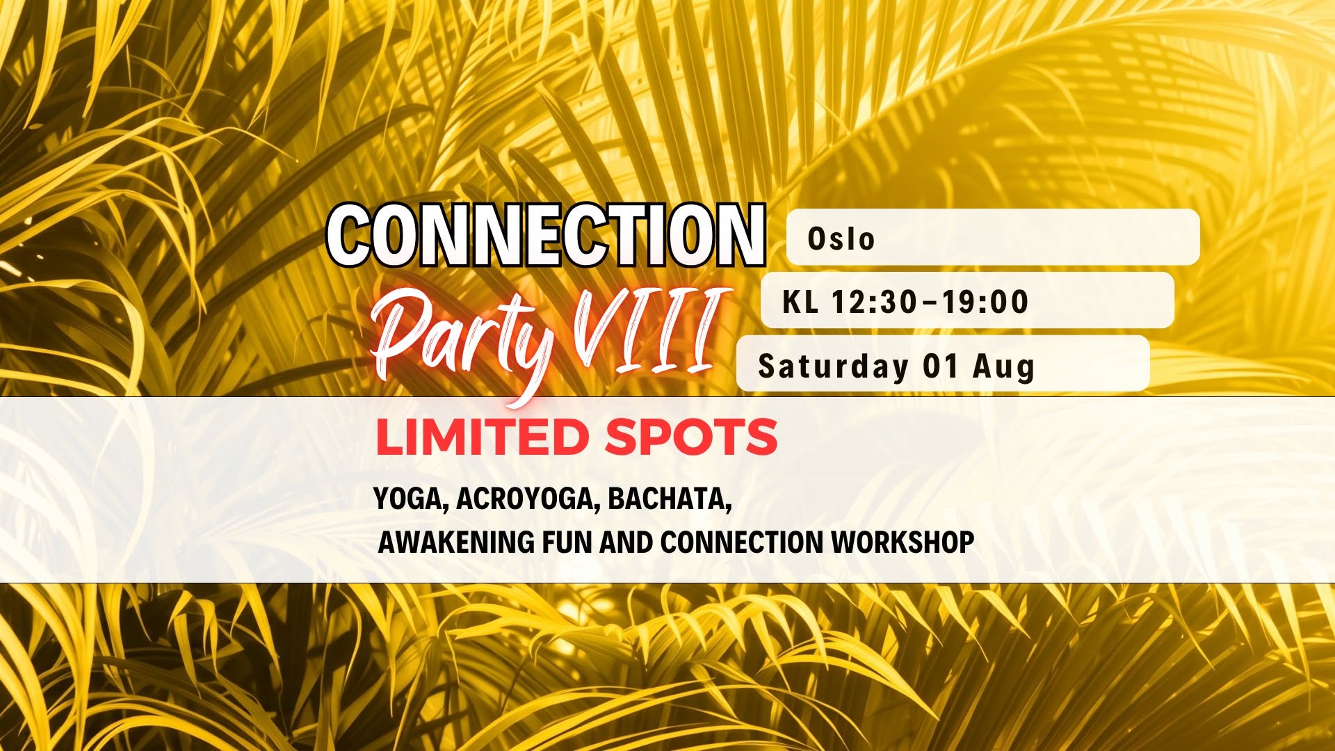 CONNECTION PARTY VIII - YOGA, ACROYOGA, BACHATA, WORKSHOP: JOYFUL CONNECTION