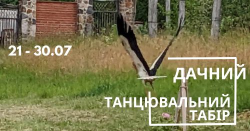 Удачний 2023 танцювальний табір