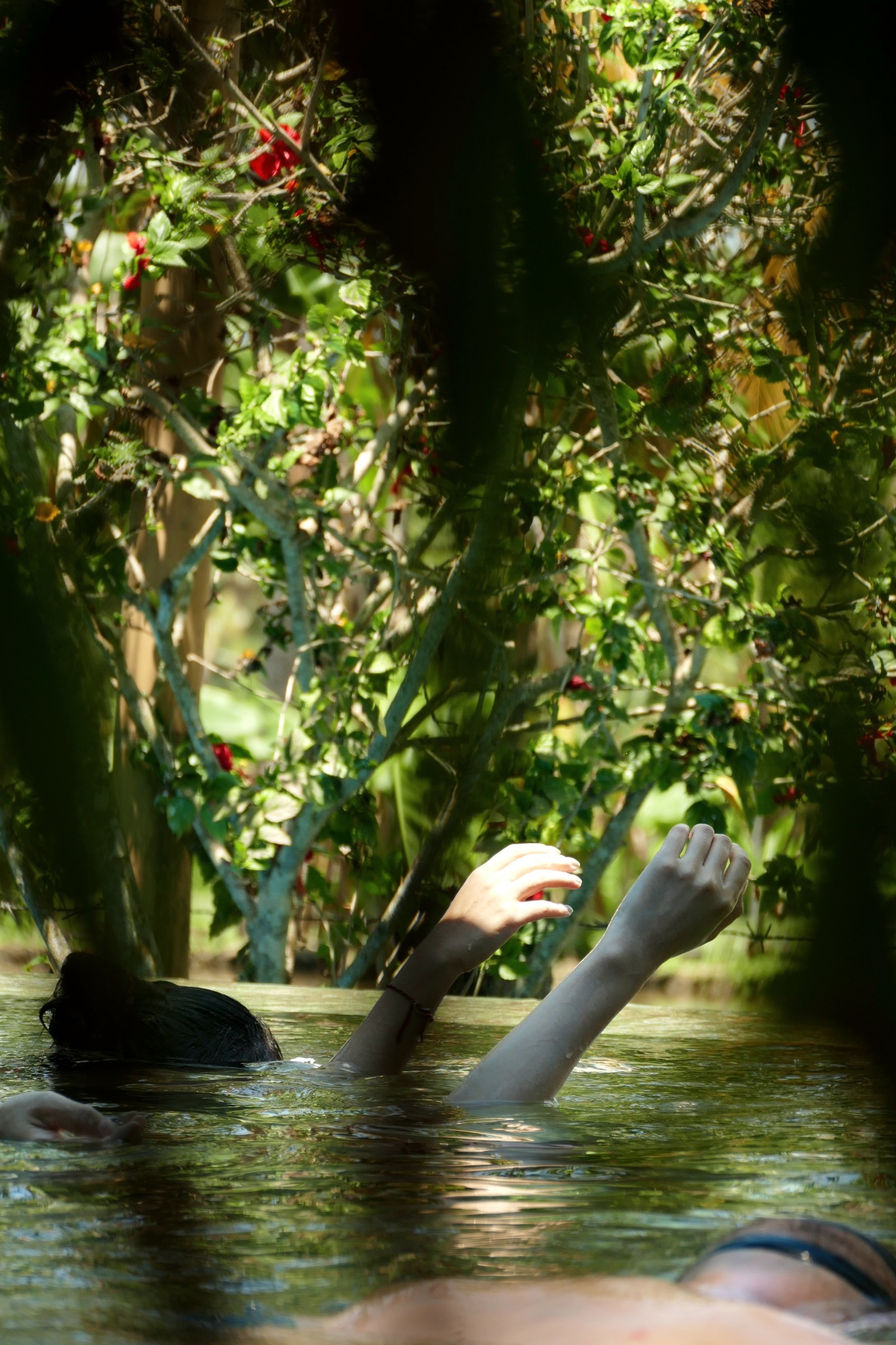 Moving Within~Conscious Body: Water and Land CI Day@ Home of Contact
