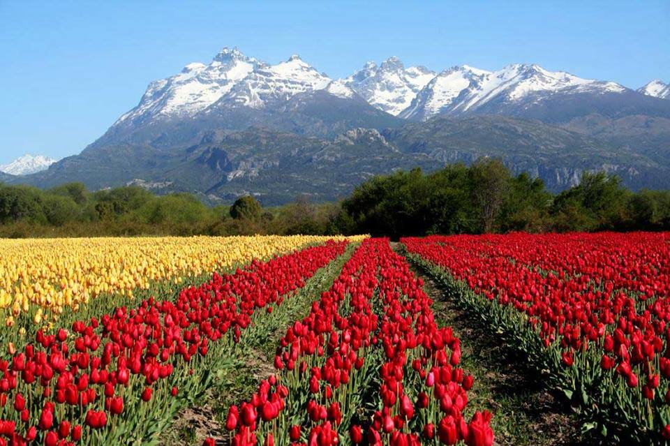 Le Printemps vas arriver ce vendredi 21 Mars!!