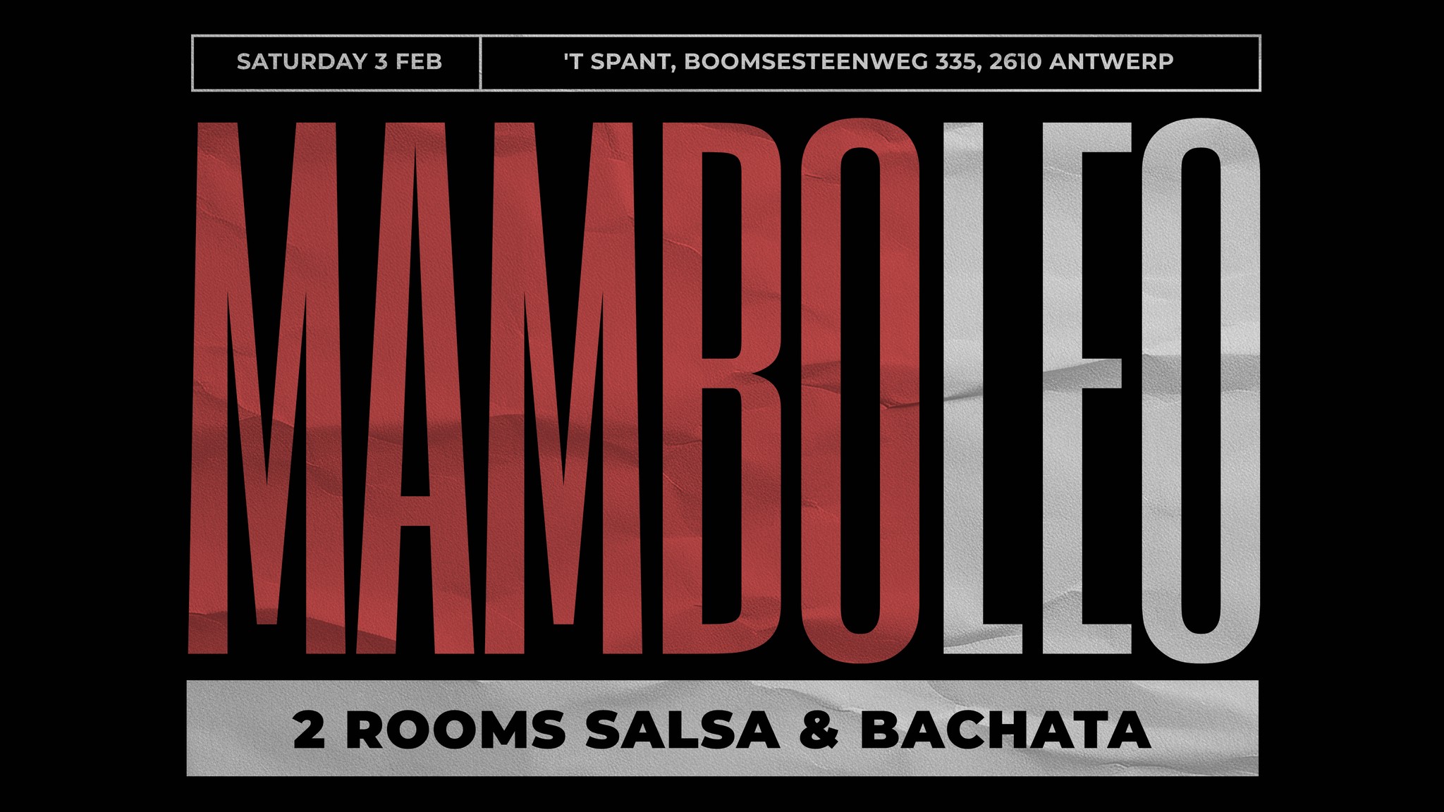 Mamboleo New Years Edition - 2 Area's