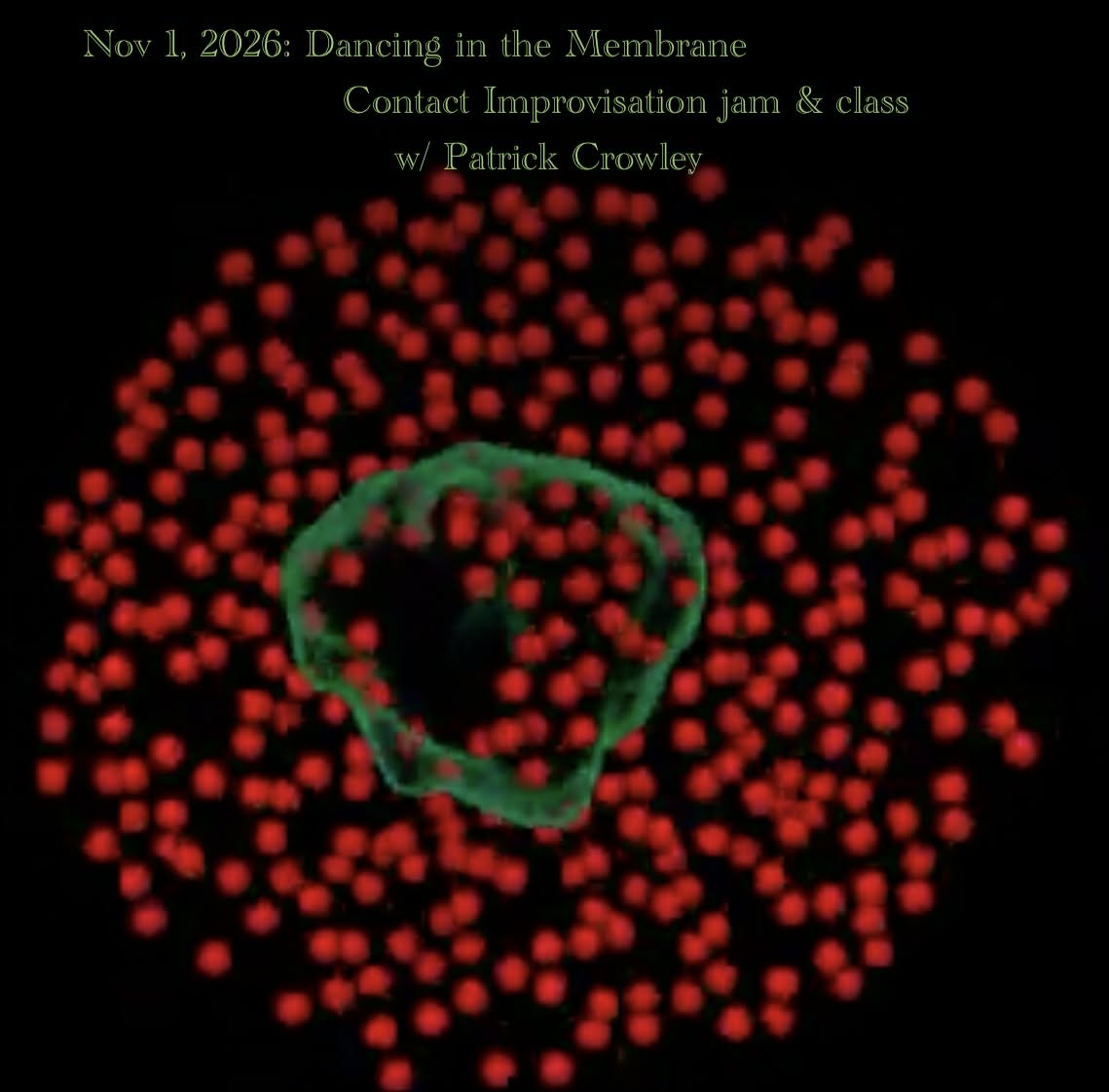 Contact @ the Dojo class & jam Nov 1 DANCING IN THE MEMBRANE w Patrick Crowley