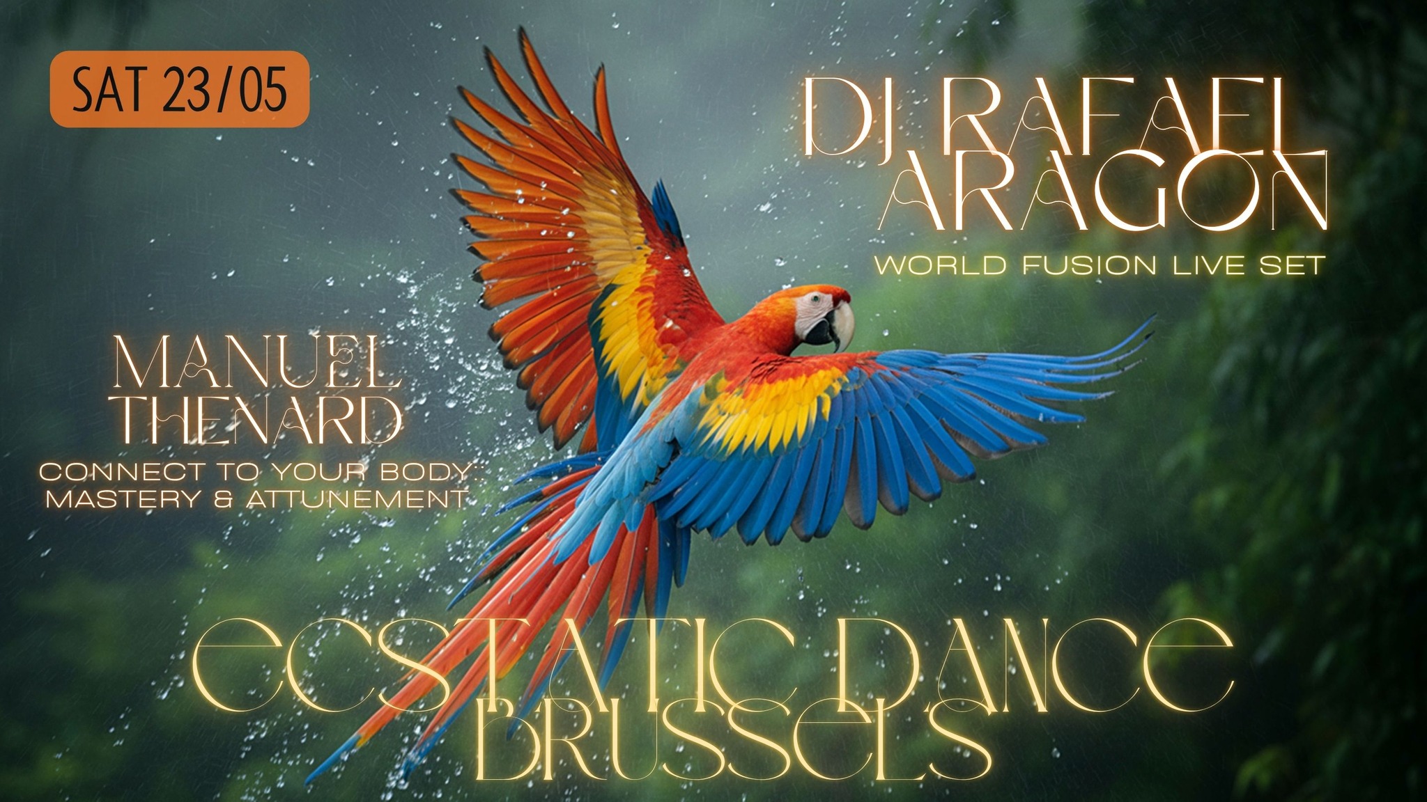 ECSTATIC DANCE BRUSSELS โก OPEN AIR โก DJ Rafael Aragon โก Manuel Thรฉnard