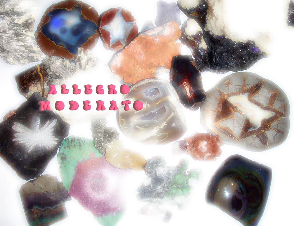 ALLEGRO MODERATO VOL 6