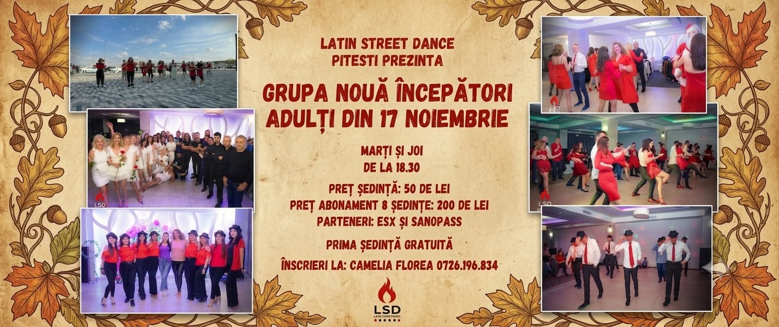 Grupa noua incepatori adulti 17 noiembrie