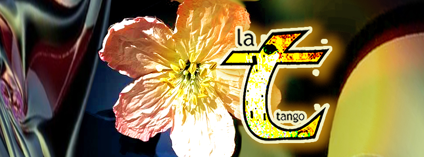 LA T TANGO MALMÖ - - TUESDAY 17 FEBRUARY MILONGA !