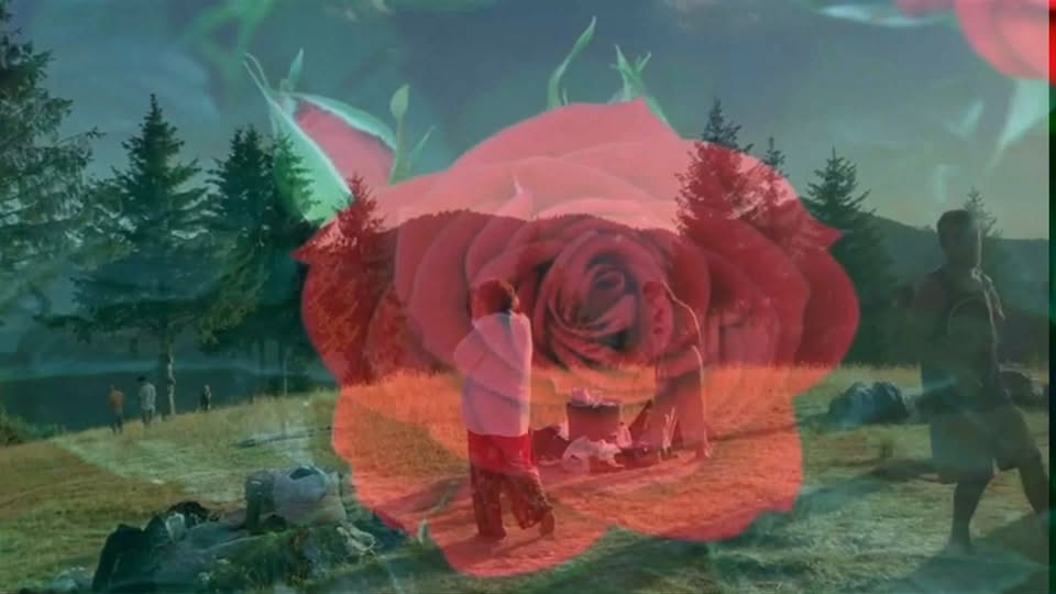 Ecstatic dance & Cacao Ceremony la Amfiteatrul Transilvania 🌹 Rose Portal