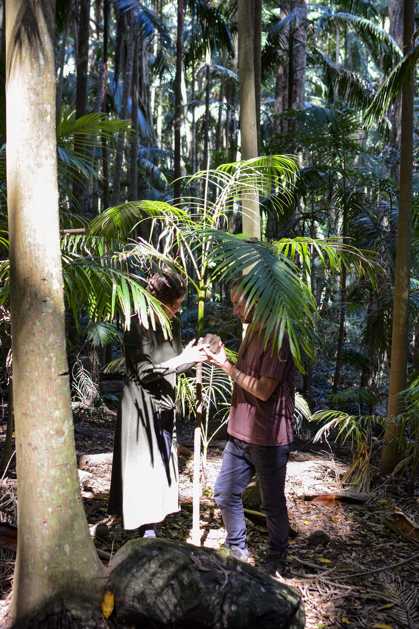 Sounds of the Forest People