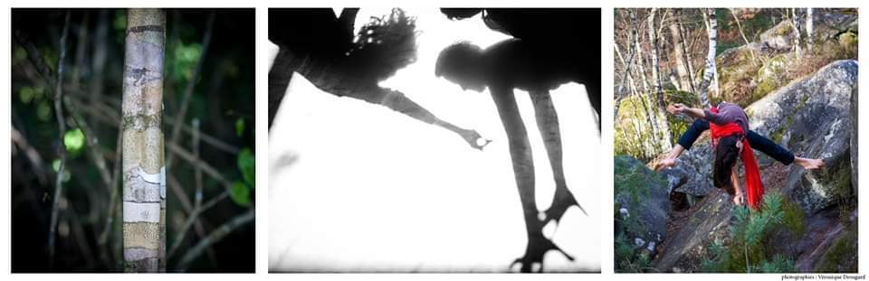 La DANSE QUI RELIE, Explorations artistiques et engagées