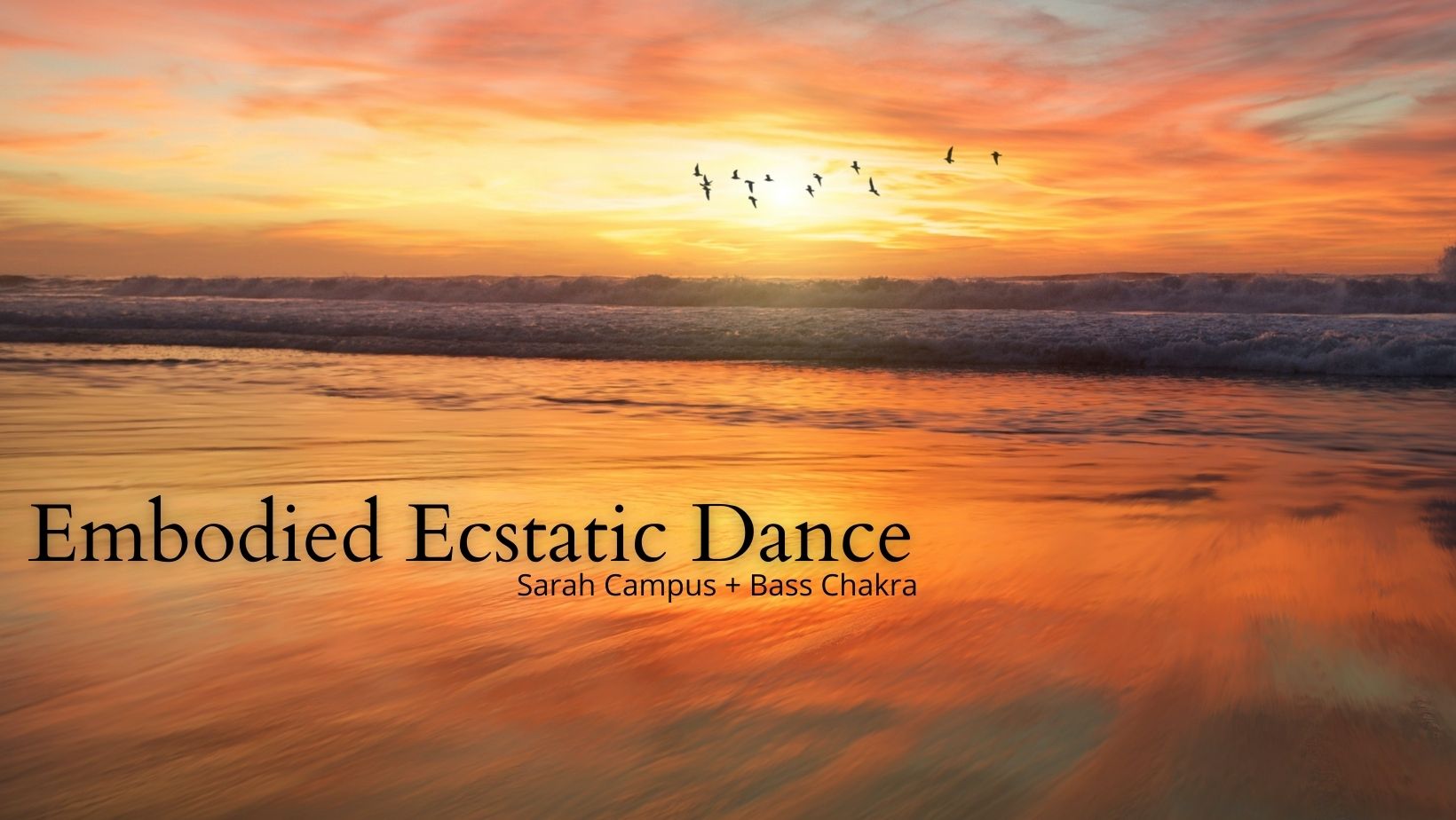 Ecstatic Dance Mount Maunganui