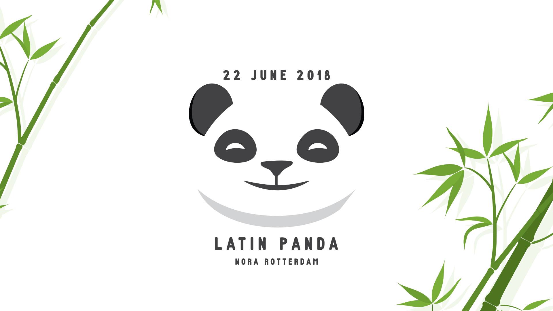 Latin Panda XL - NORA Rotterdam