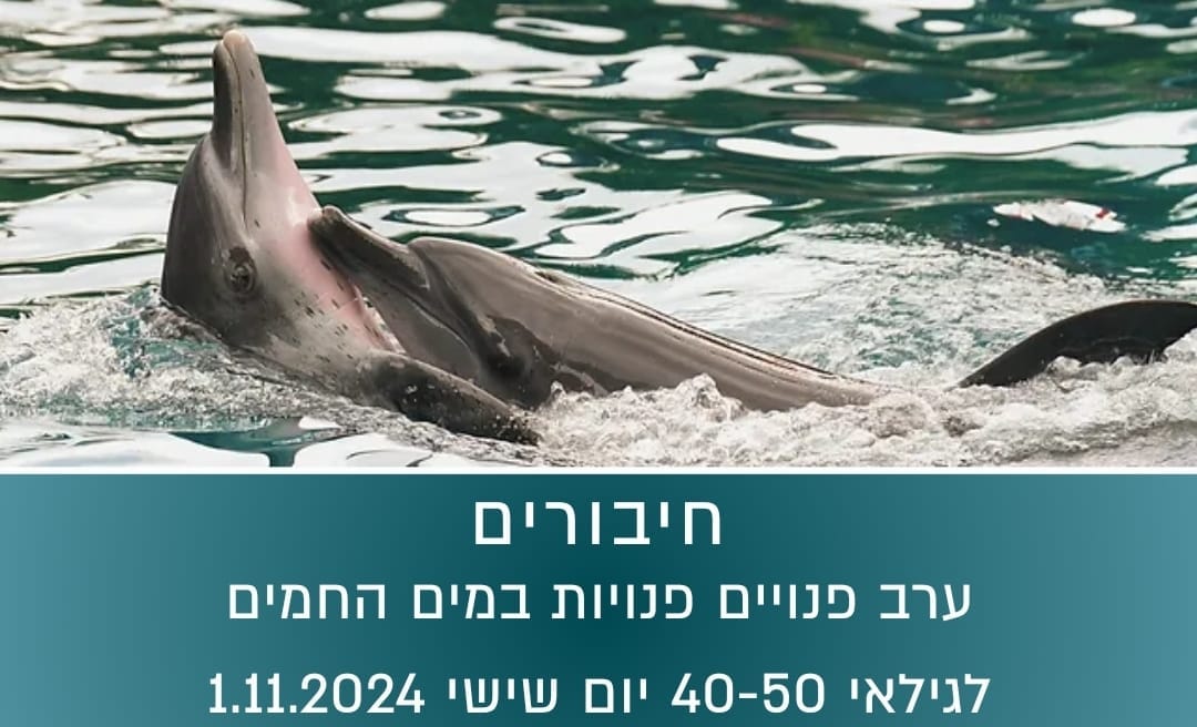 חיבורים 40+