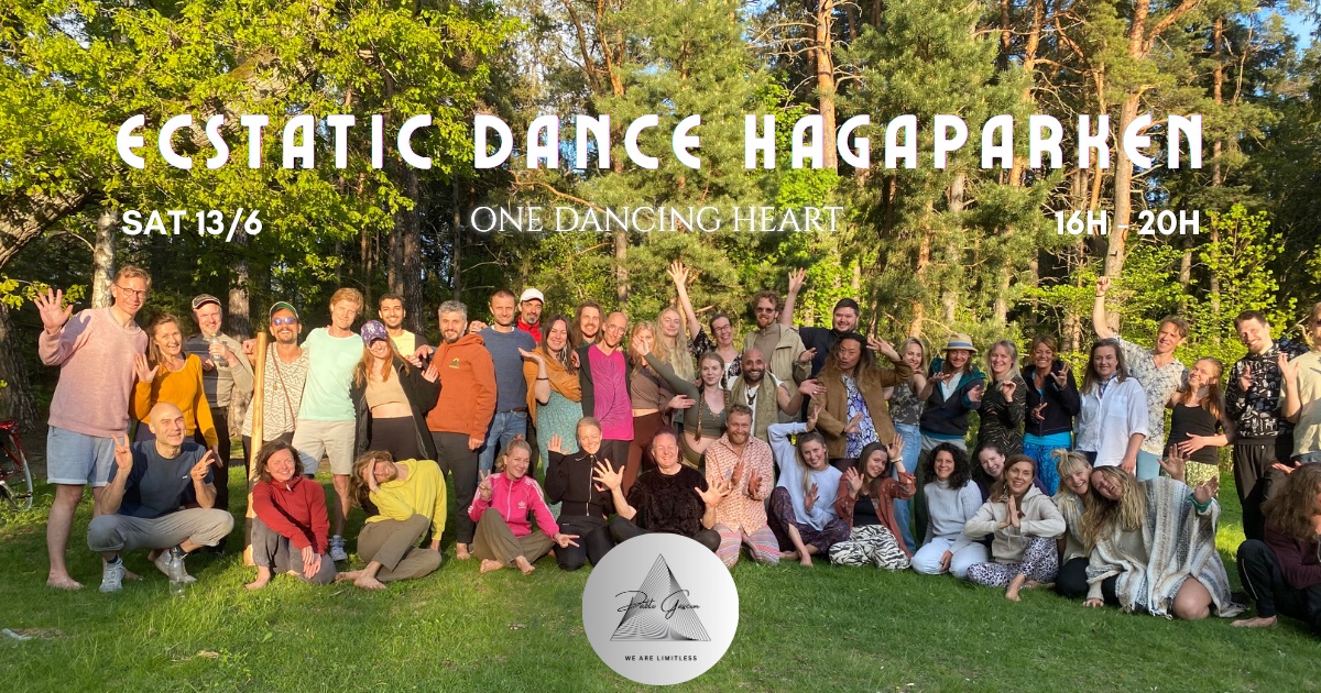 ECSTATIC DANCE HAGAPARKEN SAT 13 6