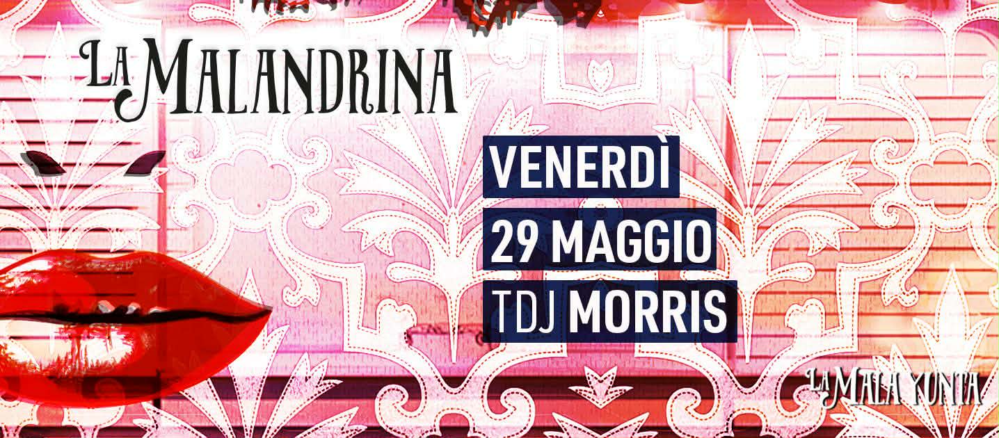 La Malandrina con Morris tdj !