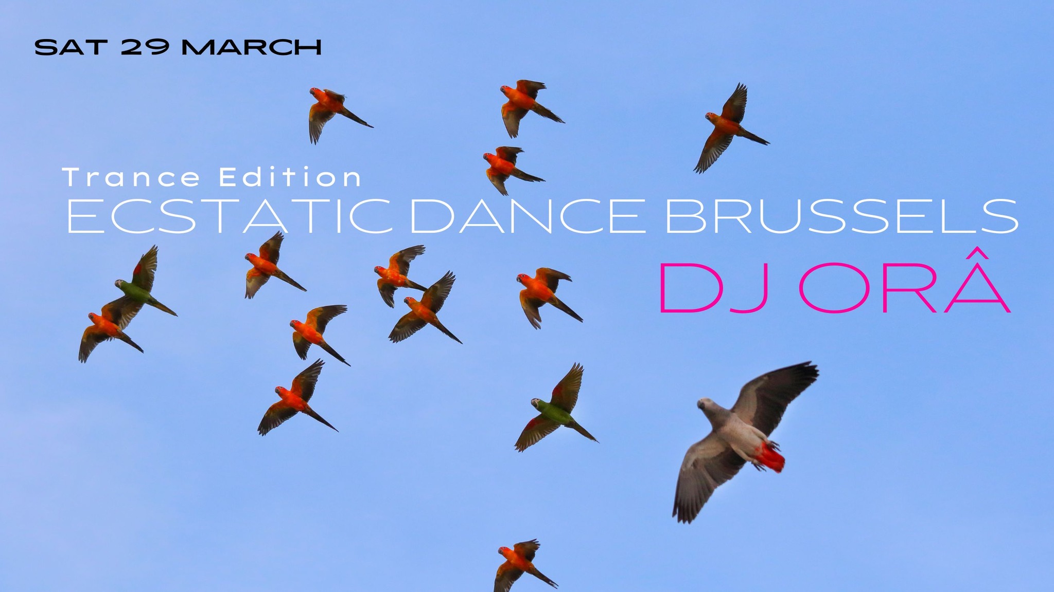 Ecstatic Dance Brussels ✺TRANCE EDITION✺ DJ ORÂ