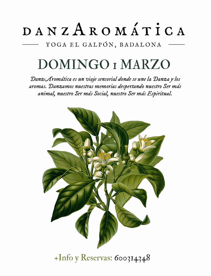 DanzAromática y Creación de Perfume Sólido