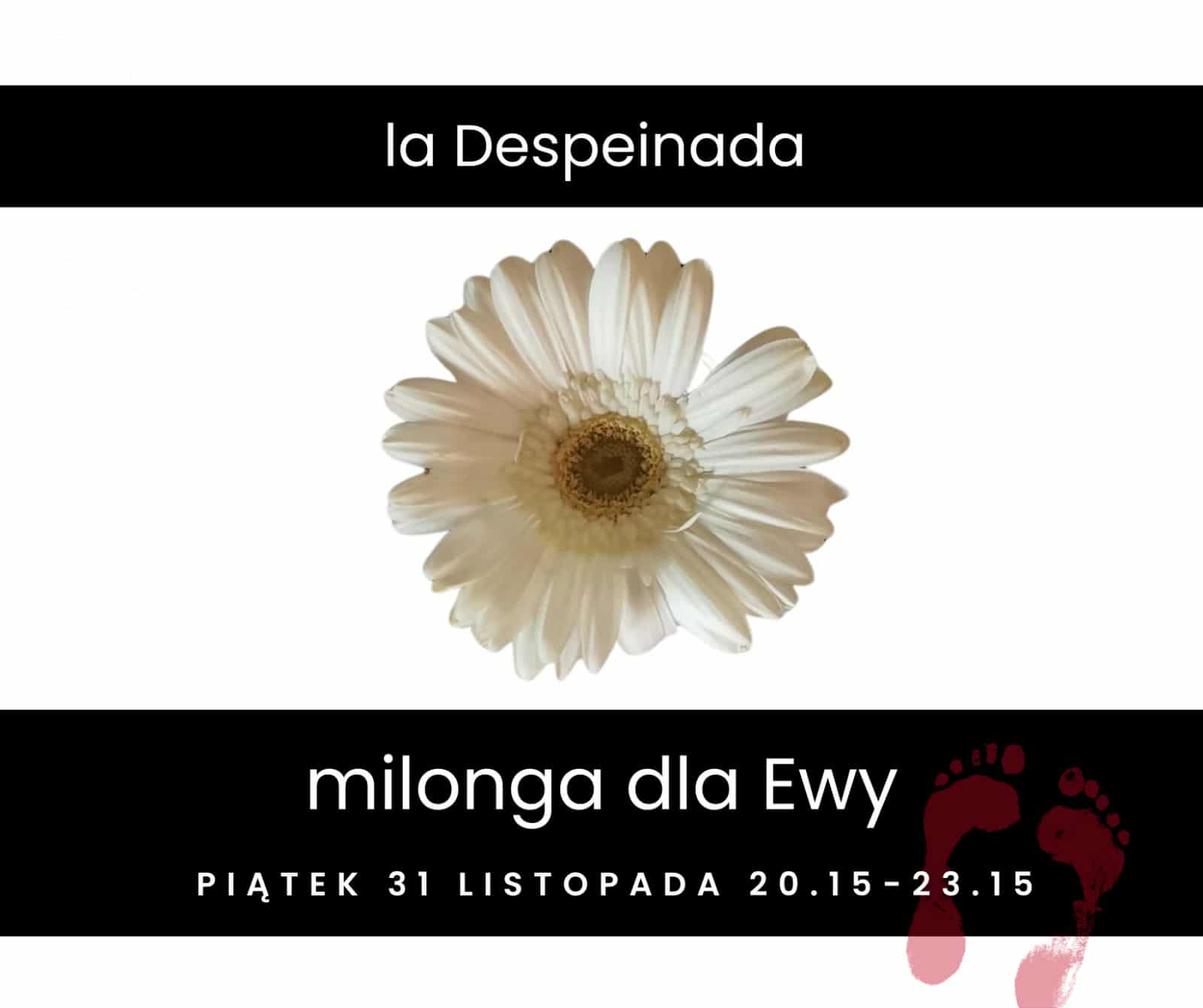 La Despeinada pamięci Ewy Teresy Zajczyk 🩶, 31 X