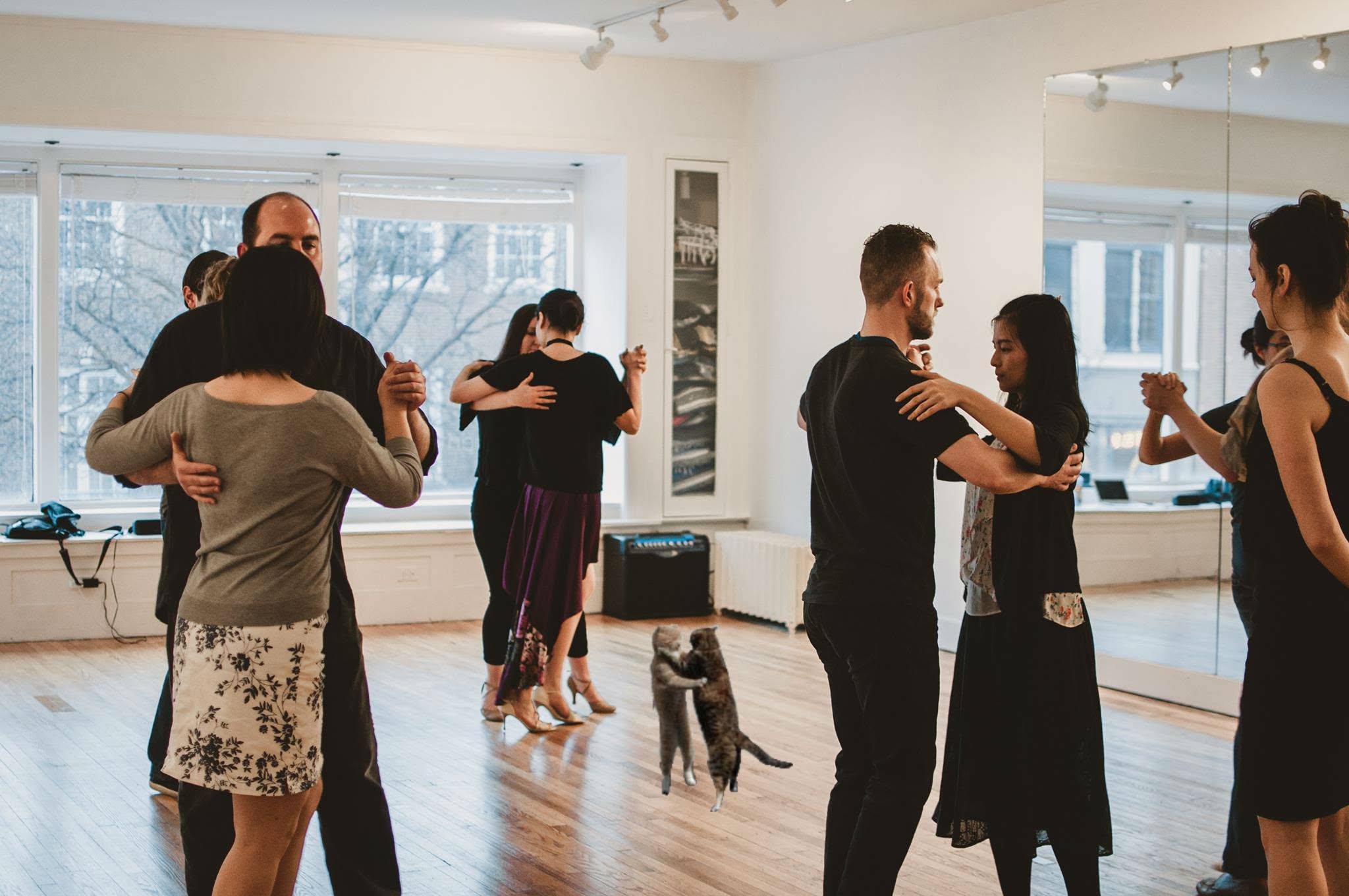 Tango with Bob and Ellen - Global Cat Day Edition!