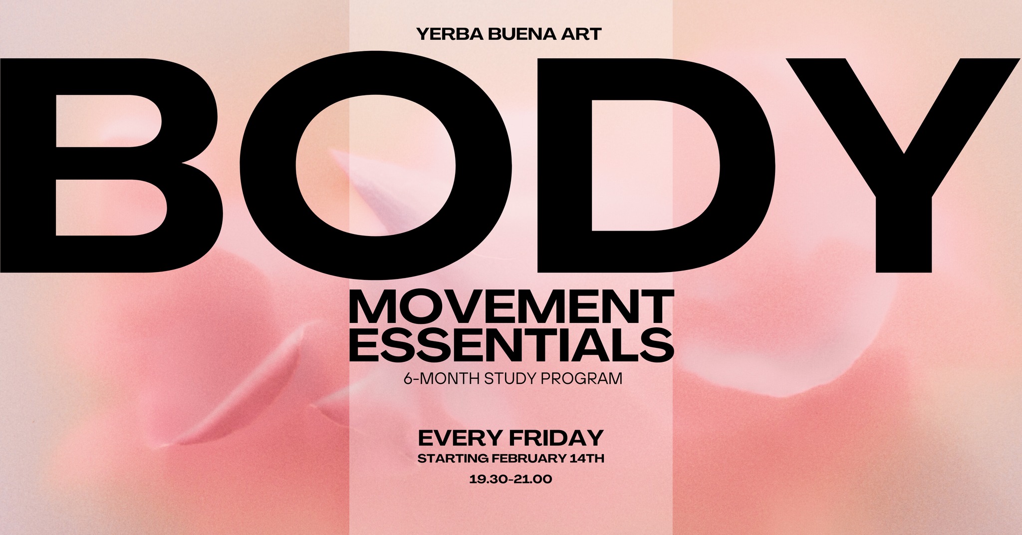 Bodymovement Study Program for Salsa & Mambo Dancers