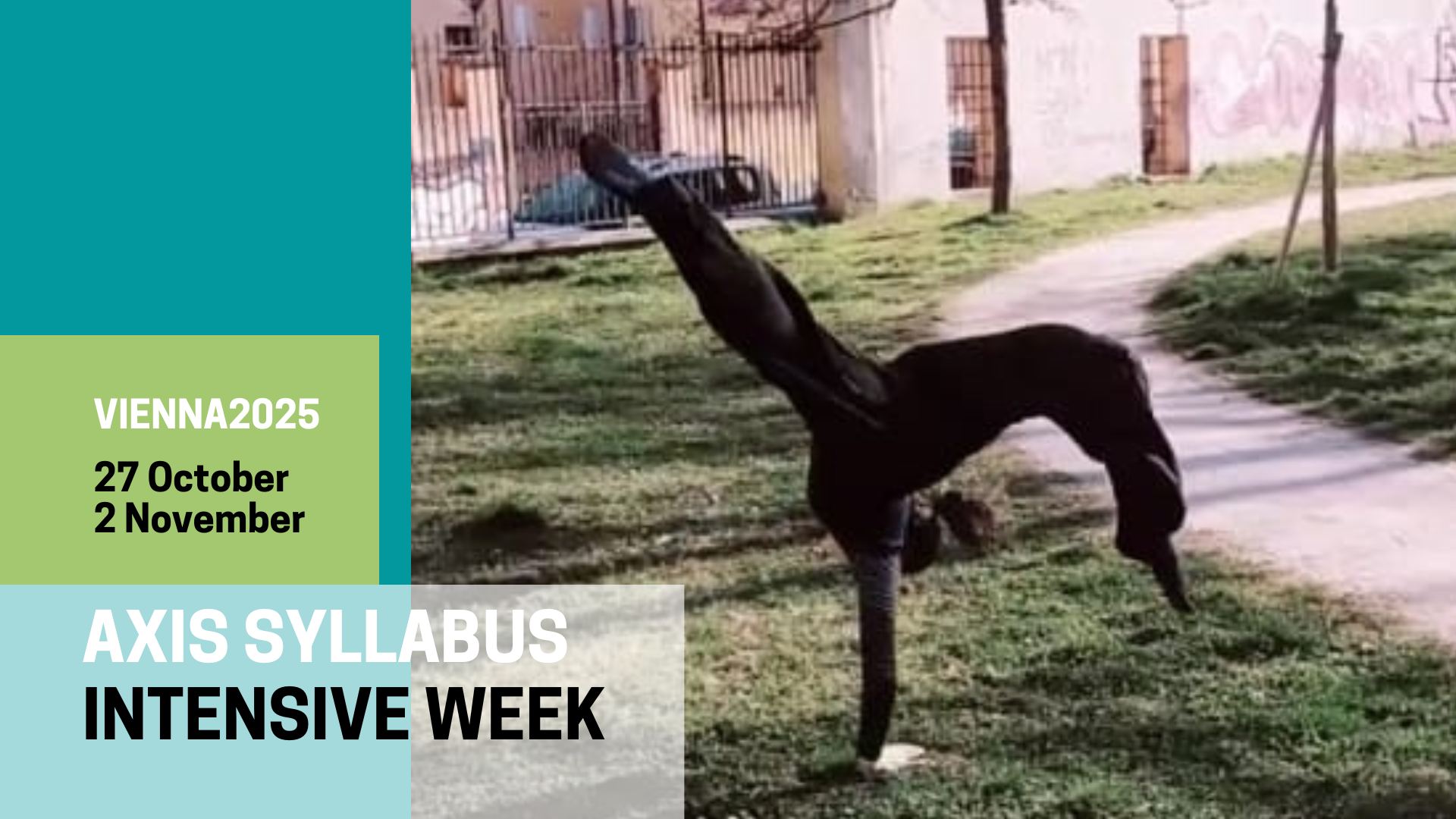 ๐ข๐ฃ๐๐ก ๐ง๐๐ ๐๐ข๐ฅ๐๐๐ฅ โข Axis Syllabus Intensive Week