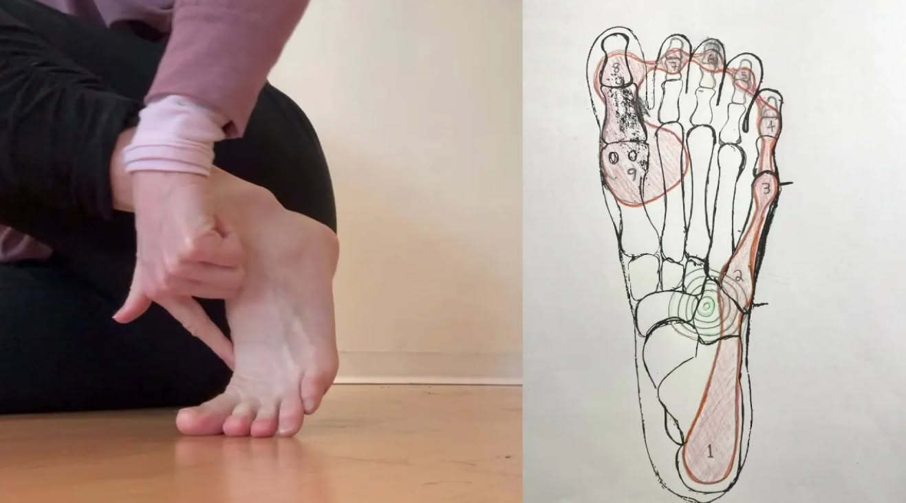 Fall Thursday Axis Syllabus Class with Kathleen Rea