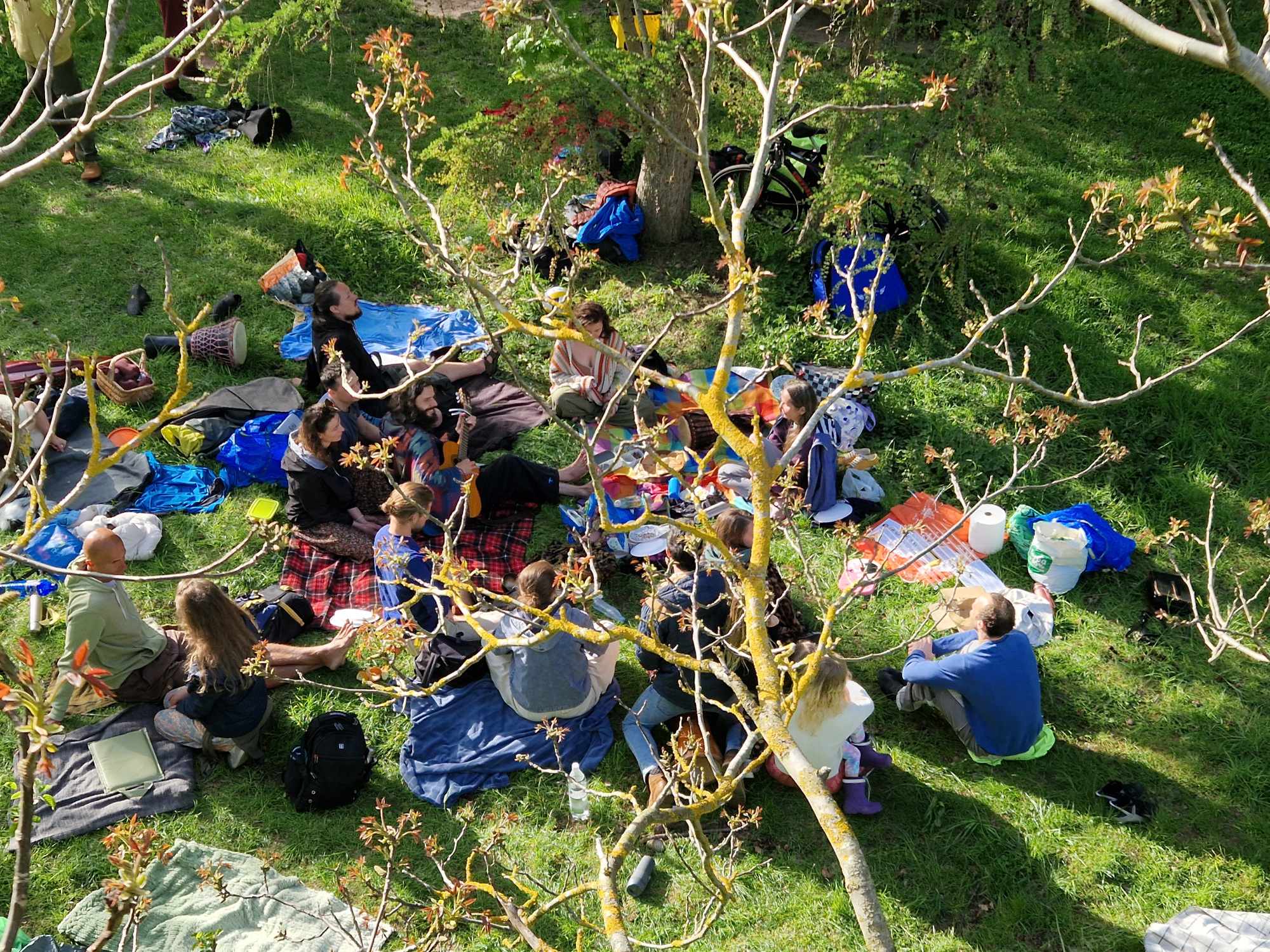 Urodzinowy Piknik Majowy w Ogrodzie Kreacji