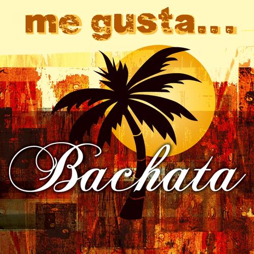 Bachata Workshopdag
