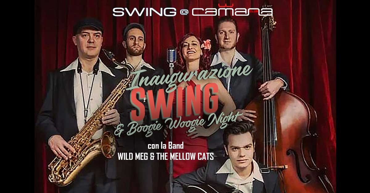 THE SWING NIGHT