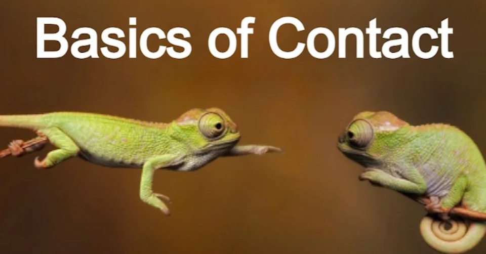 The Basics of Contact