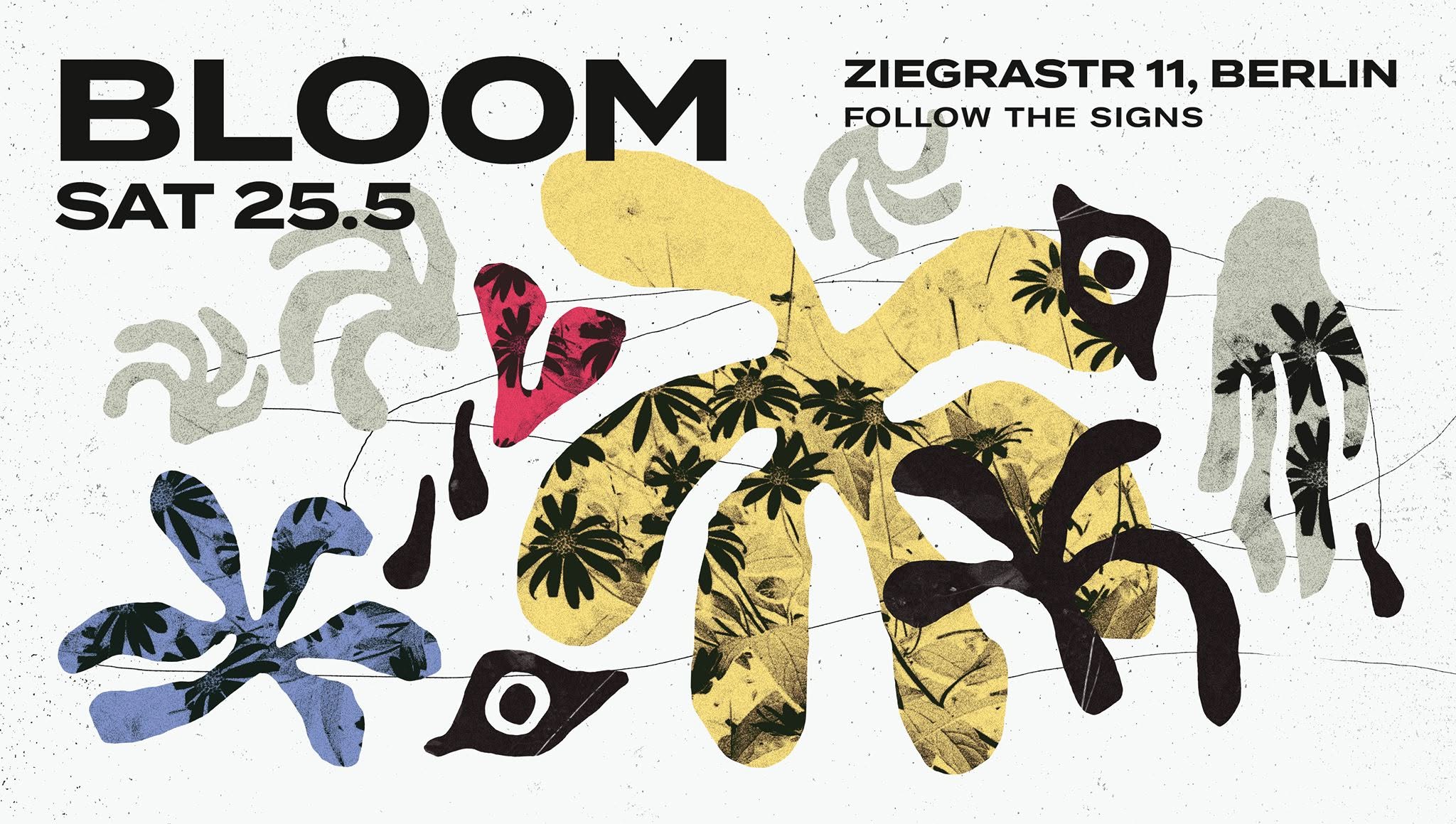 Bloom